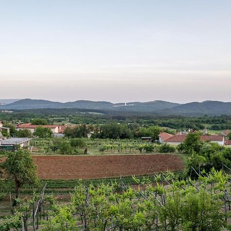 Apartma Oddih Dutovlje Exteriör bild